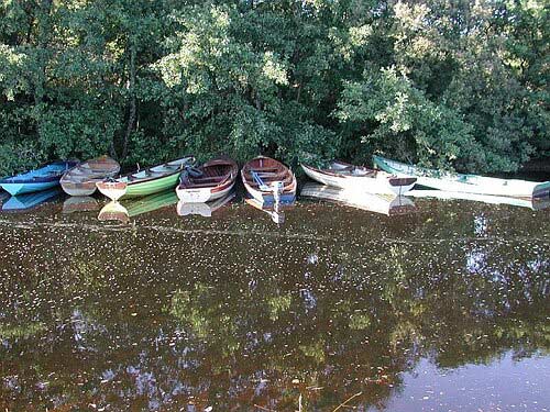 DSCN2261.JPG