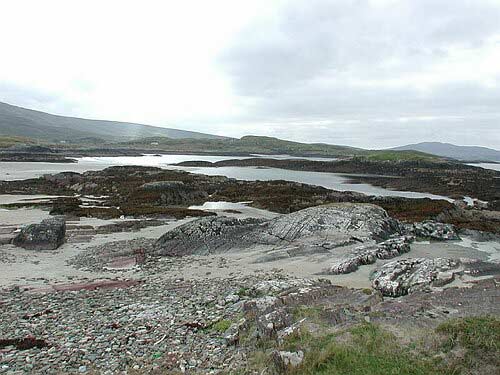 DSCN2317.JPG