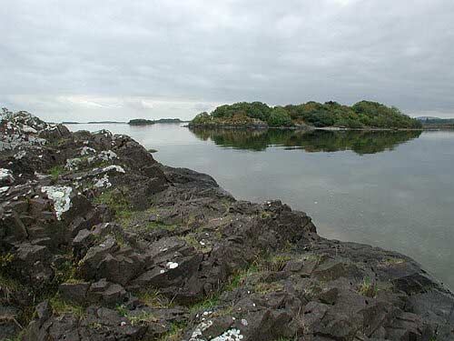 DSCN2332.JPG