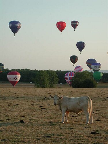 DSCN6251.JPG