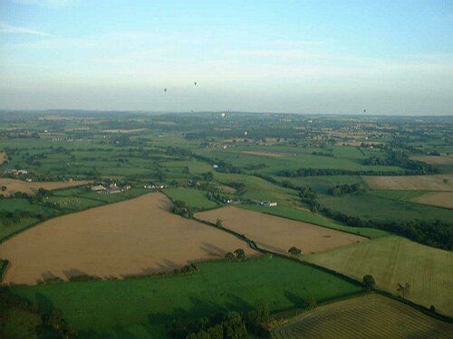 Ballooning 2.JPG
