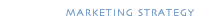 Marketing Strategy